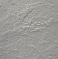 20250528_084129.jpg