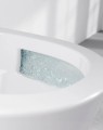 PL_silent_flush_01.jpg