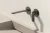 VBA_5012_SG_01_1bcab510b3.webp