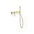 Delta_Pi_komplet_zloty_polysk.png