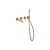 Pi_komplet_zloty_szczotkowany.png