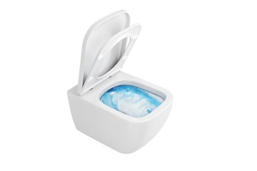 miska-wc-ness.jpg