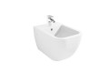 bidet-ness___.jpg