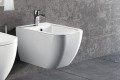 bidet-ness-2.jpg
