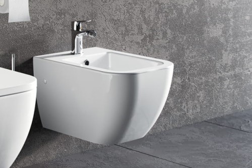 bidet-ness-2.jpg