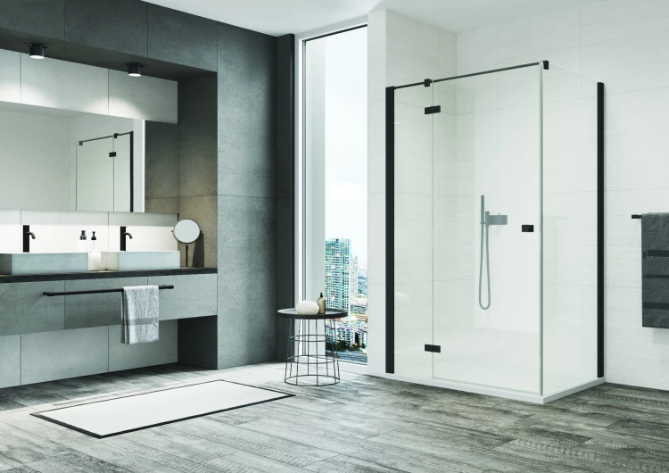 SanSwiss_ANNEA_AN13+ANT1_BLACK-LINE.jpg