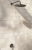 thy.png