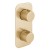 IND-T148-2-ALT-BRG.jpg