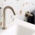 IND-IRDSPOUT-BRN-BS2.jpg