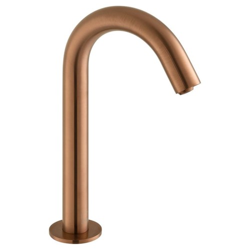 IND-IRDSPOUT-BRZ.jpg