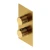 OMNIRES_CT8036GLB.webp