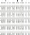 p wymiary.jpg