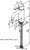 74021m.png
