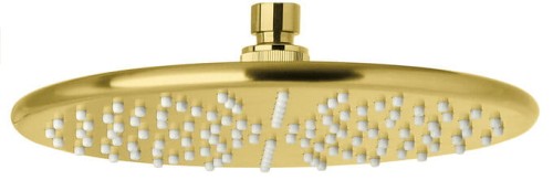 7666379_Silhouet Headshower_Brushed Brass.jpg
