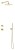 5704977-Silhouet-DS1-Concealed-kit-Outer-Parts-Polished-Brass.jpg